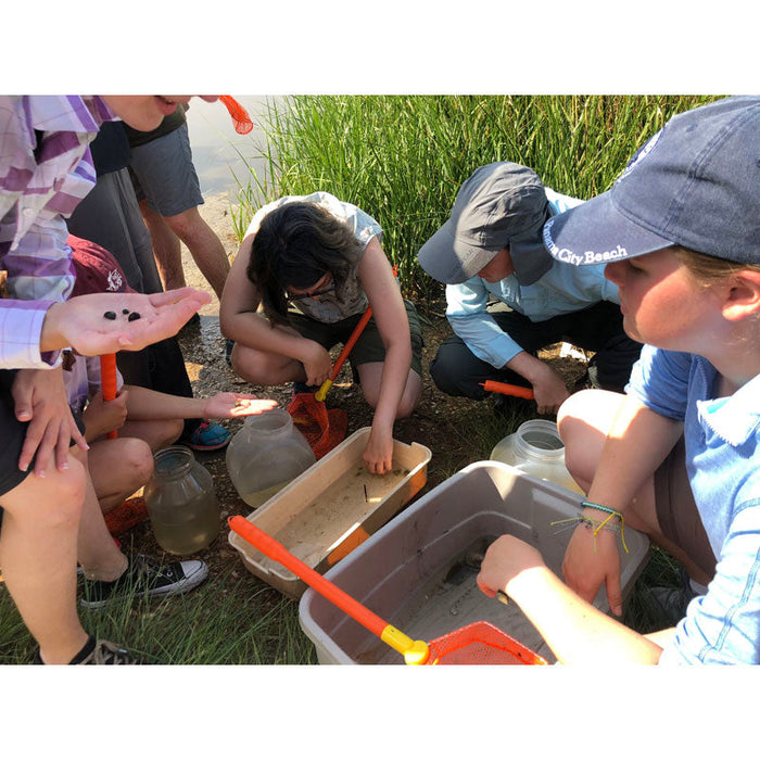 Marine Science Course for High School Students at Dauphin Island Sea Lab