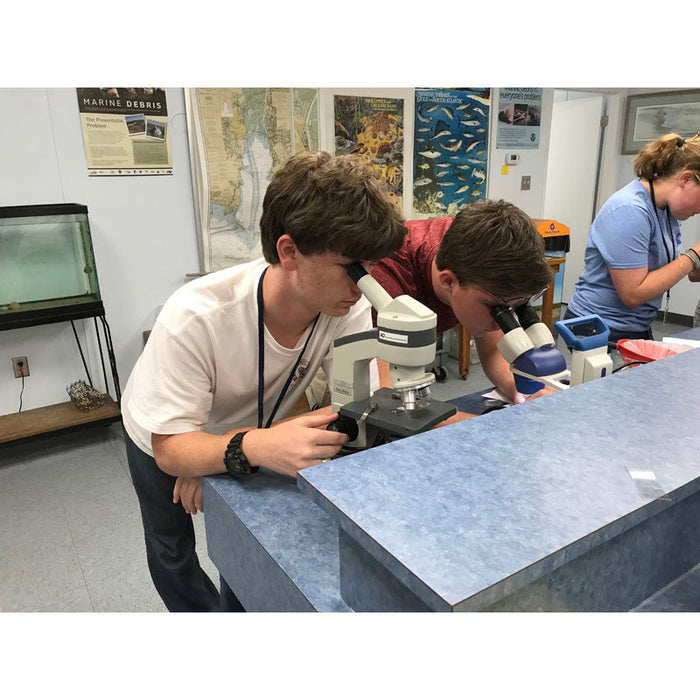 Marine Science Course for High School Students at Dauphin Island Sea Lab